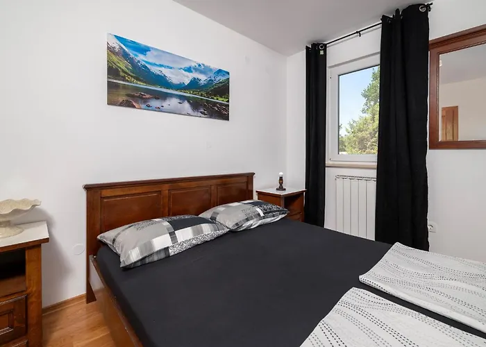 Apartamento Awesome In With Wifi Medulin