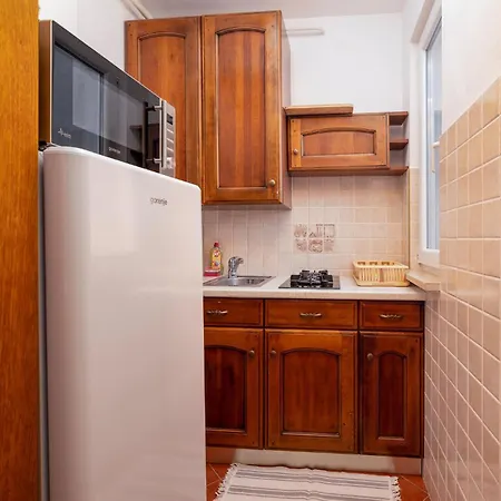 Awesome In With Kitchen Apartment Medulin